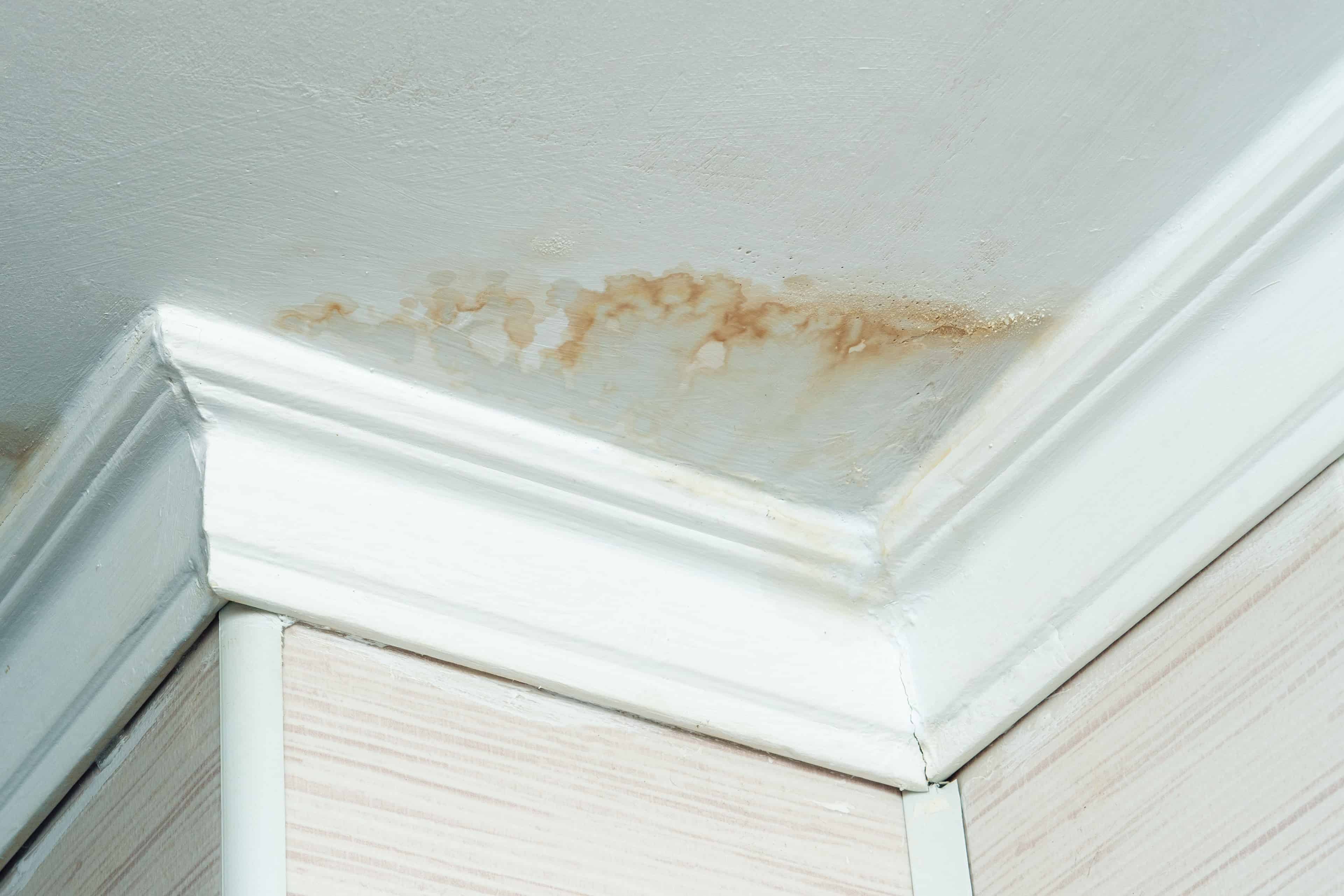 Leak Detection & Repair image